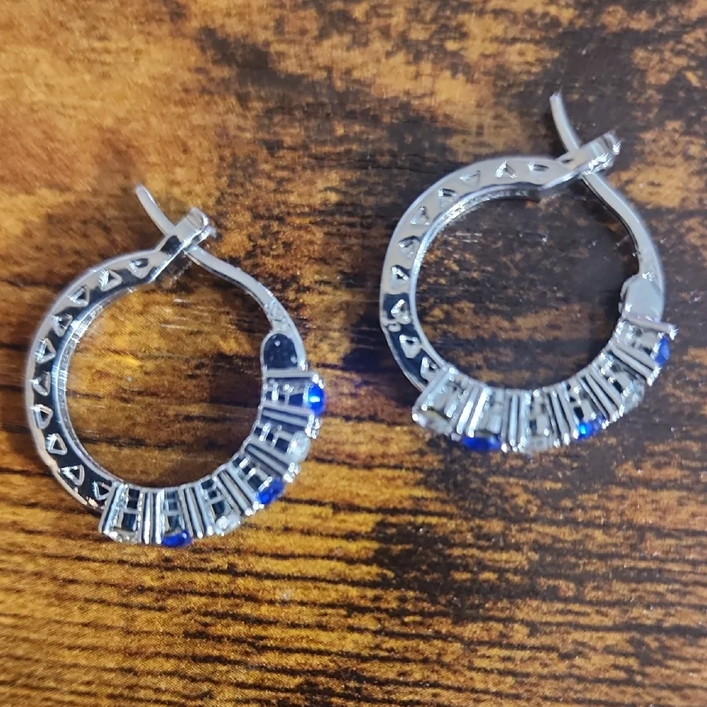 FIRM PRICE Elegant Silver and Blue Hoop Earrings .925